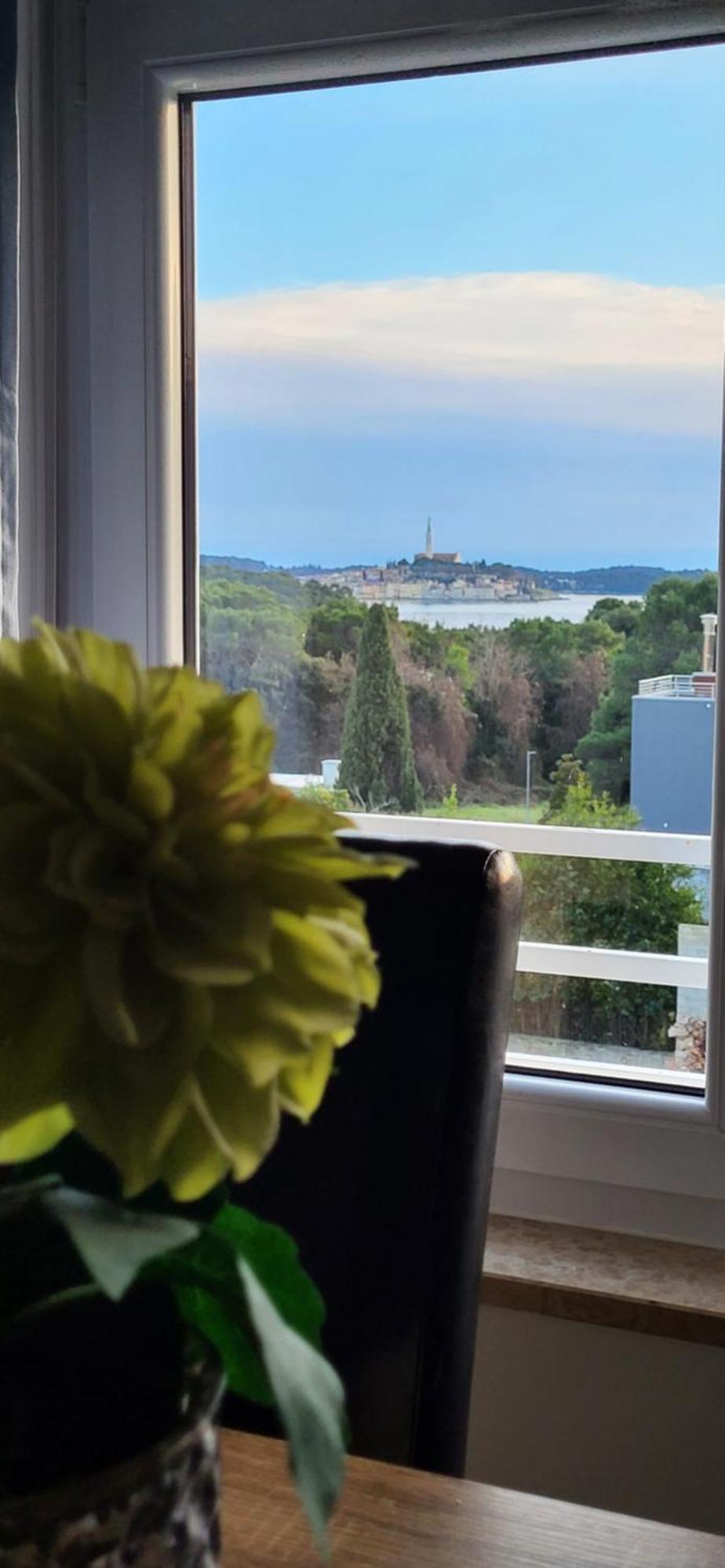 Villa Salvia Rooms And Apartments Rovinj Extérieur photo